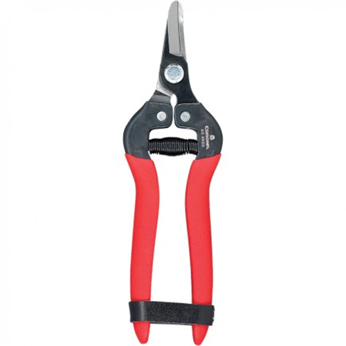 Tijera Corona® AG4920
