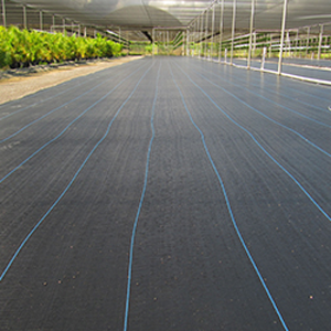 Ground Cover 3.66m x 91m (12’x300’) | Cubierta Antimaleza para Grandes Áreas