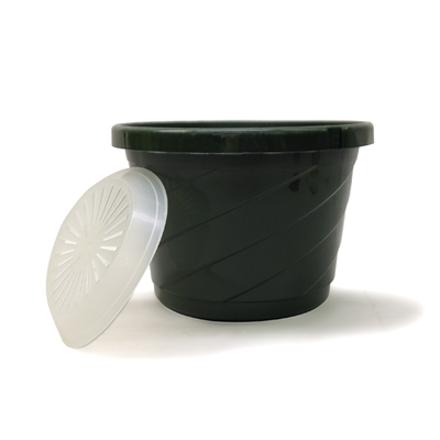 Colgante 8" EuroSL2 Verde 50/caja