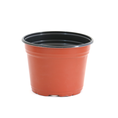 Maceta Termo 6&quot; Terra 300/paquete
