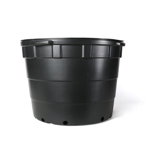 Maceta #25 Haviland negra