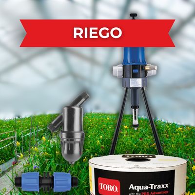 Riego