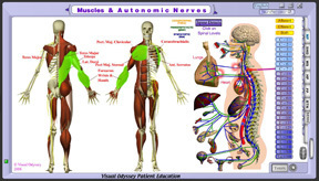 Neuropatholator Touch - Core