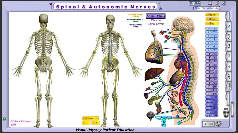 Neuropatholator Touch - Starter