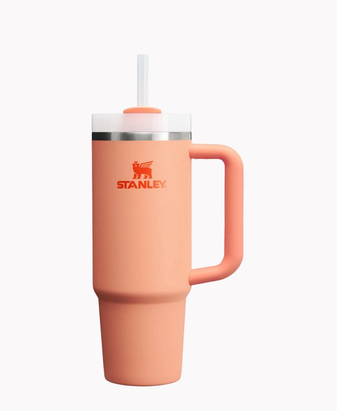 THE QUENCHER H2.0 FLOWSTATE TUMBLER | 30 OZ
