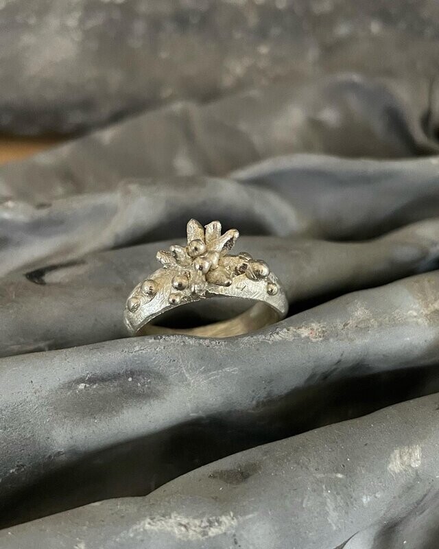 coral