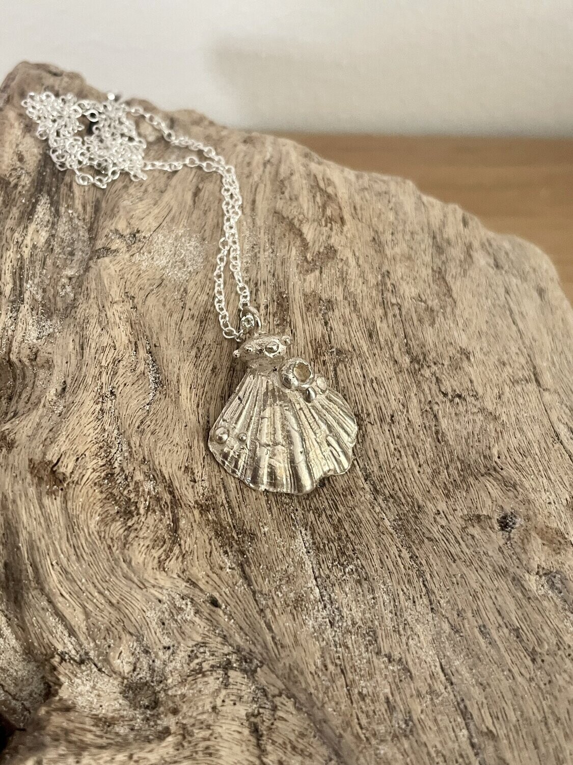 shell