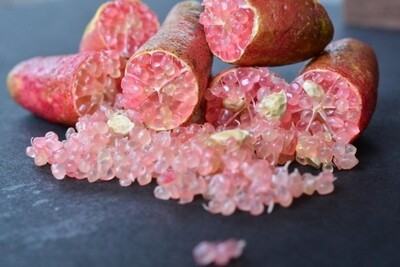 Finger Lime Pink Ice