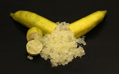 Finger Lime Yellow