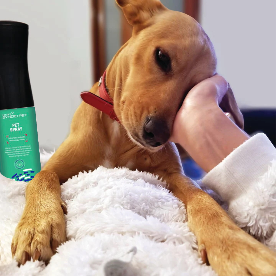 Deodorante, Shampoo e Cleaning spray, ai probiotici, per cani e gatti. kit  scontato -15%