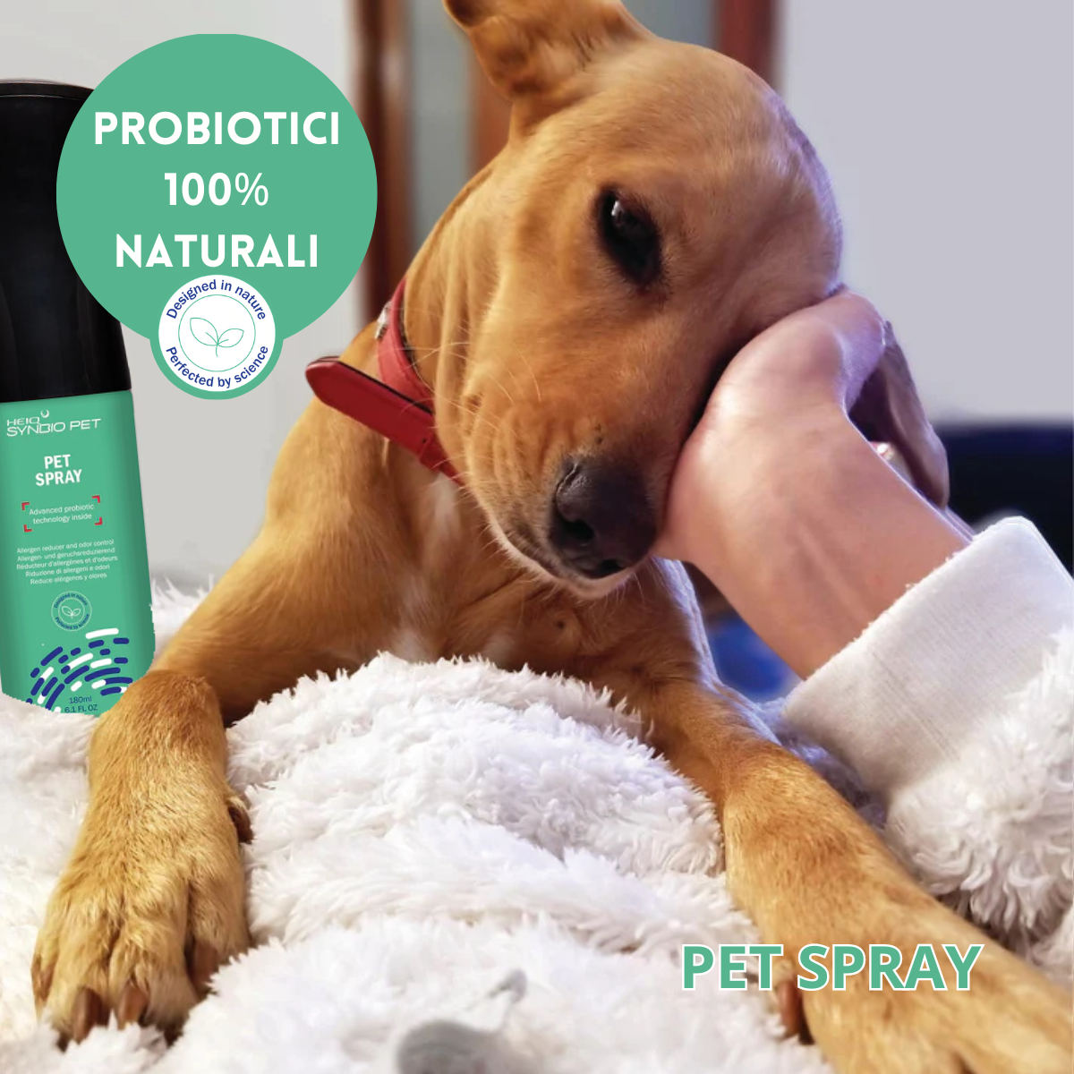 Deodorante Pet Spray con Probiotici Naturali - Elimina gli odori sgradevoli e gli allergeni dal tuo animale domestico