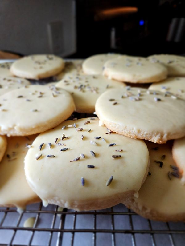 Lavender Lemon Cookies GF