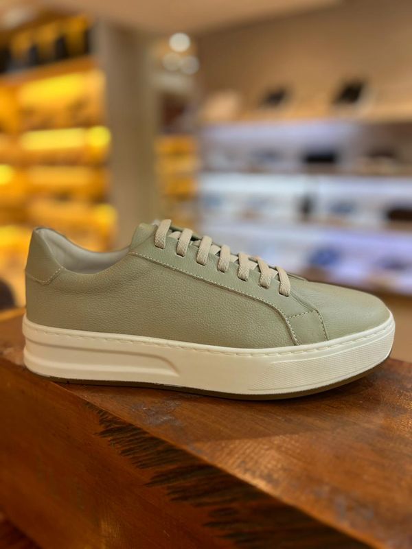 TENIS