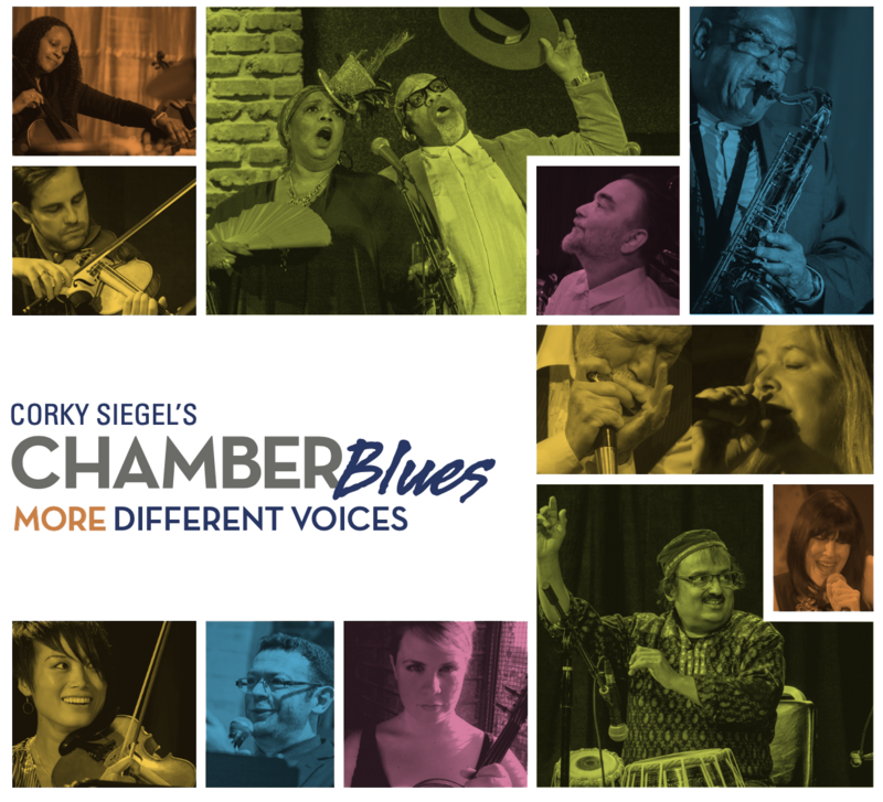 NEW! • MORE Different Voices • Chamber Blues •hi-res Wav file master • Delivery 9/23/22 • DOWNLOAD
