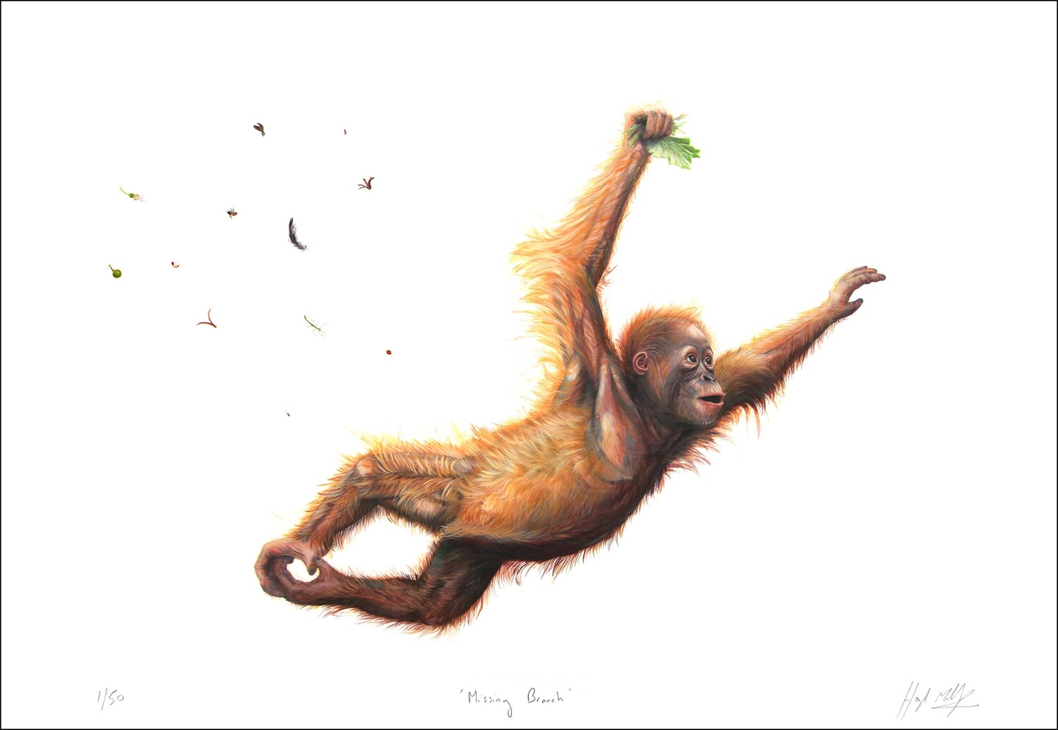 Missing Branch - Limited edition print