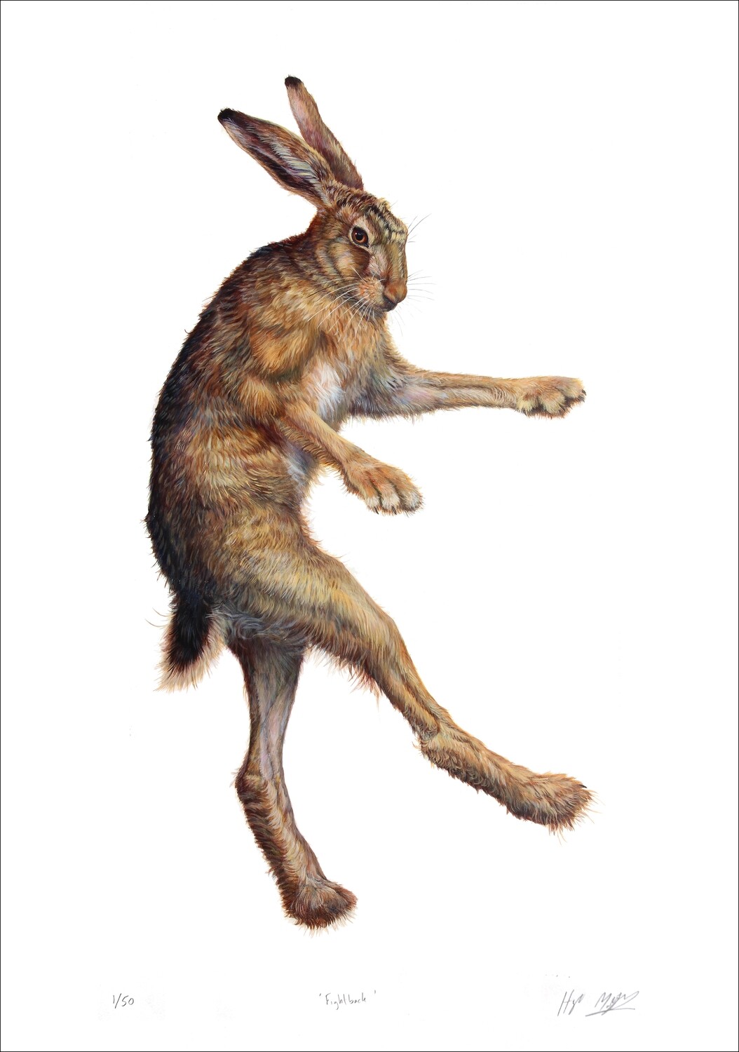 Fightback - Limited Edition Print