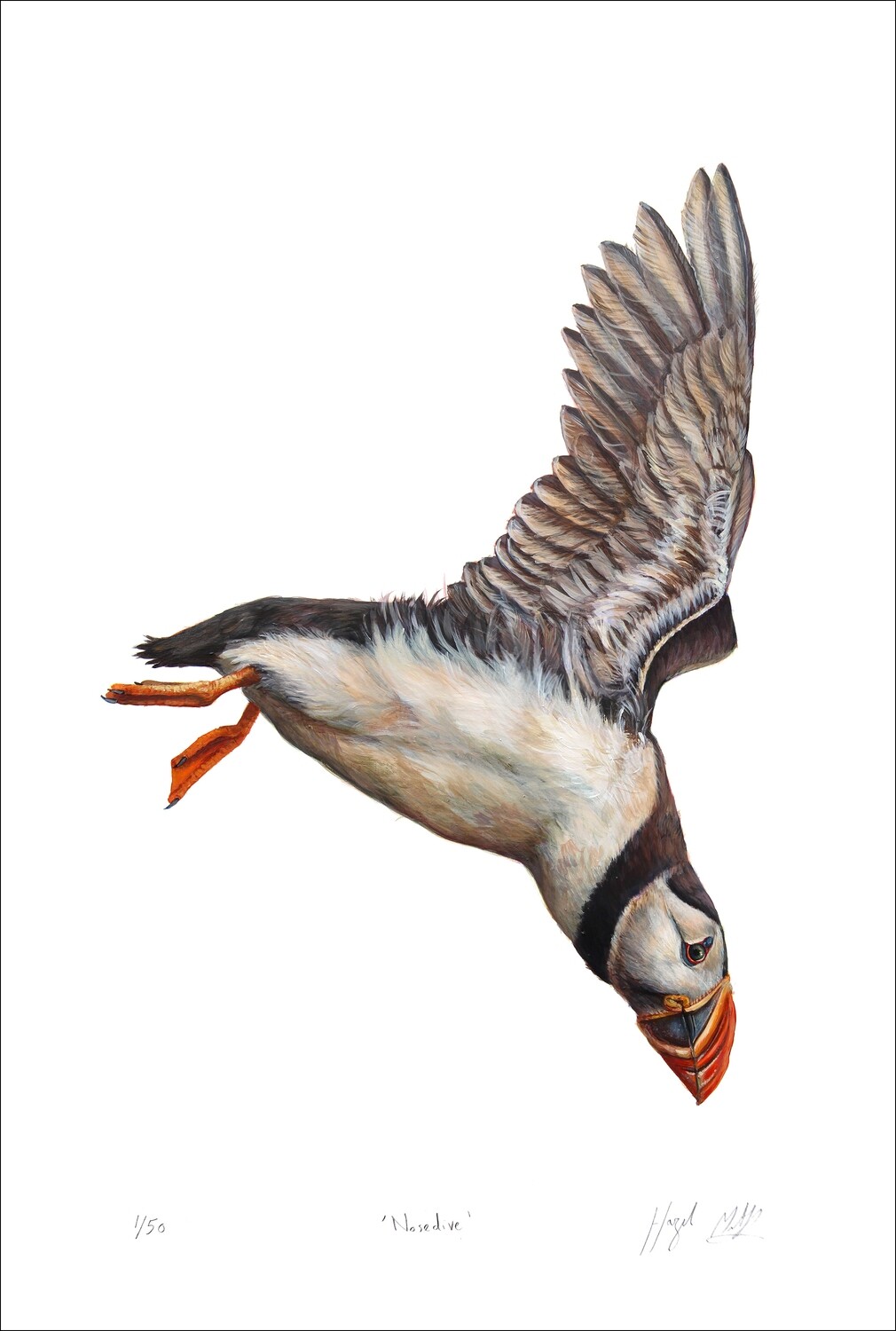 Nosedive - Limited edition print