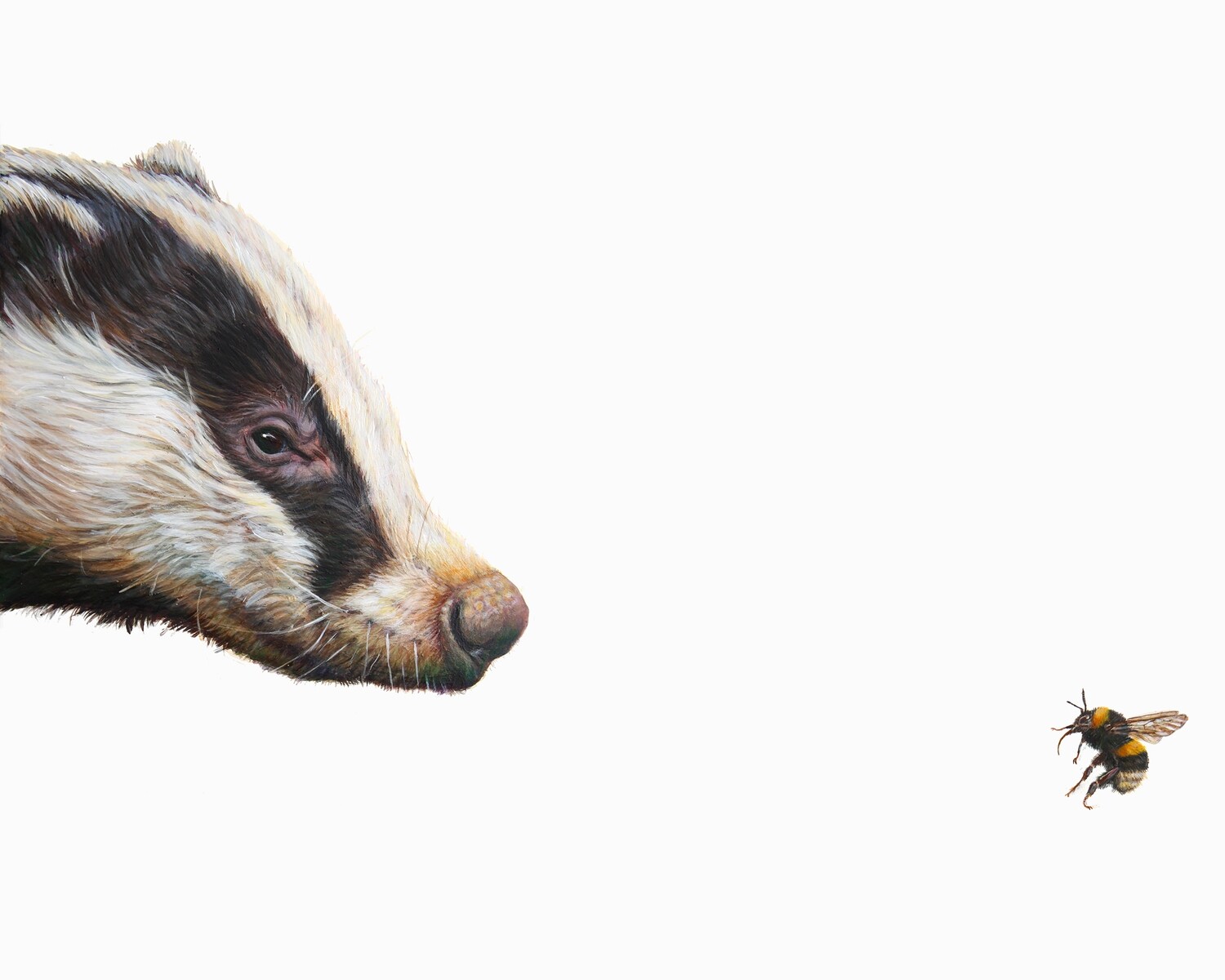Top Predator - Badger &amp; Bee