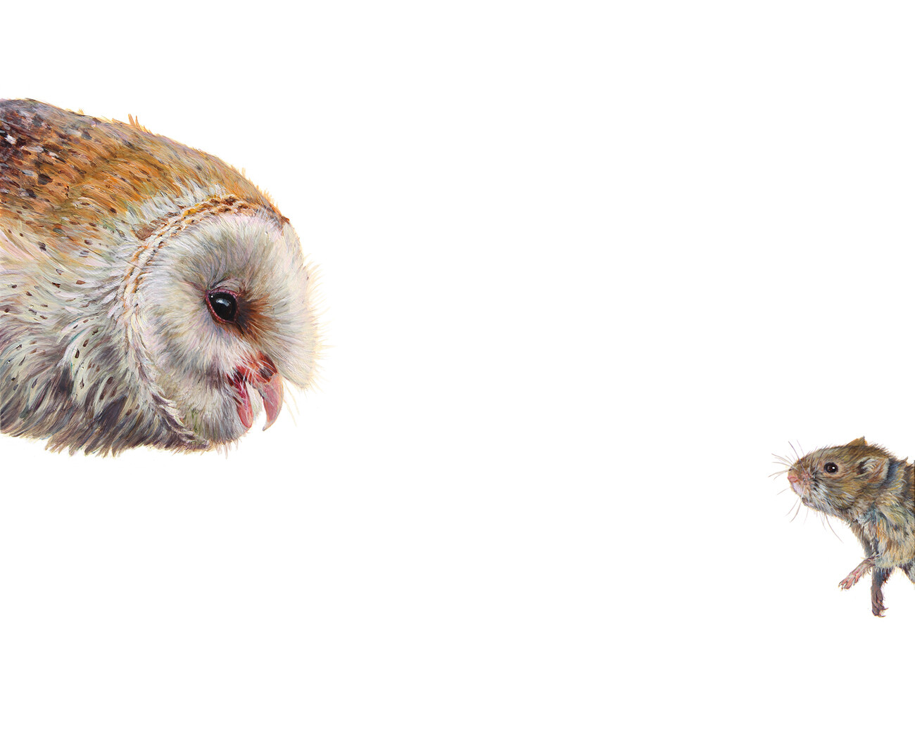 Top Predator - Owl &amp; Vole