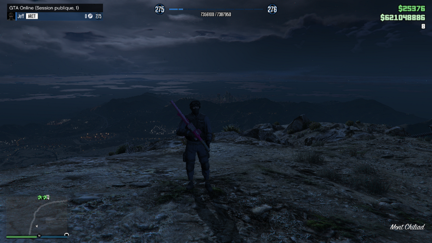 Lobby professional