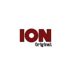 ION STORE LTD