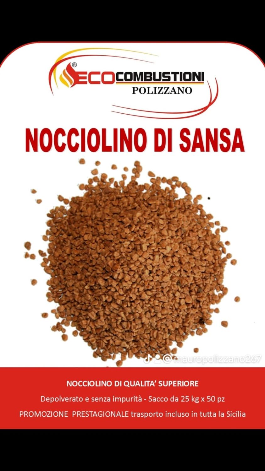 NOCCIOLINO DI SANSA