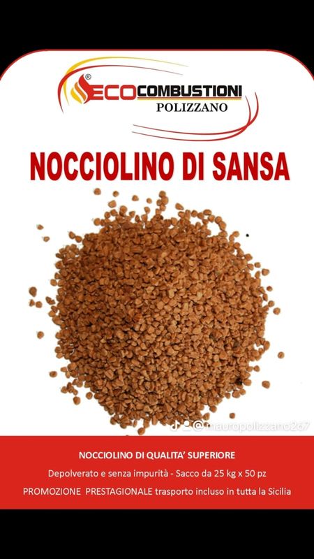 NOCCIOLINO DI SANSA