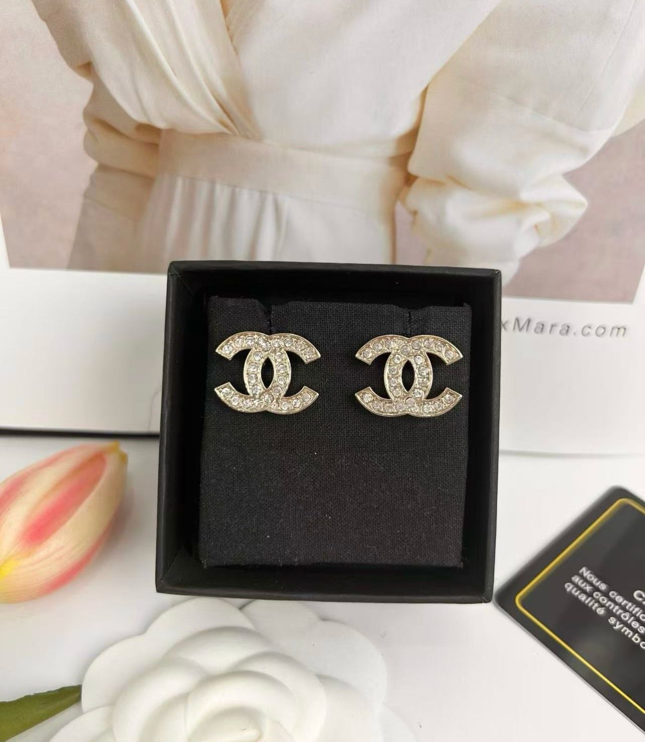 Earrings