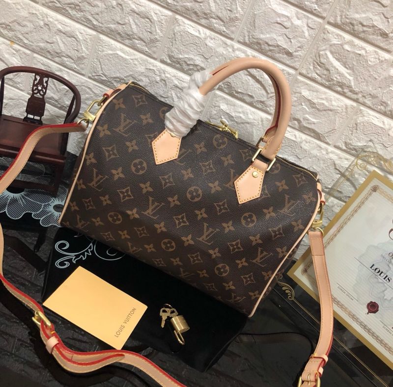 LV Bag