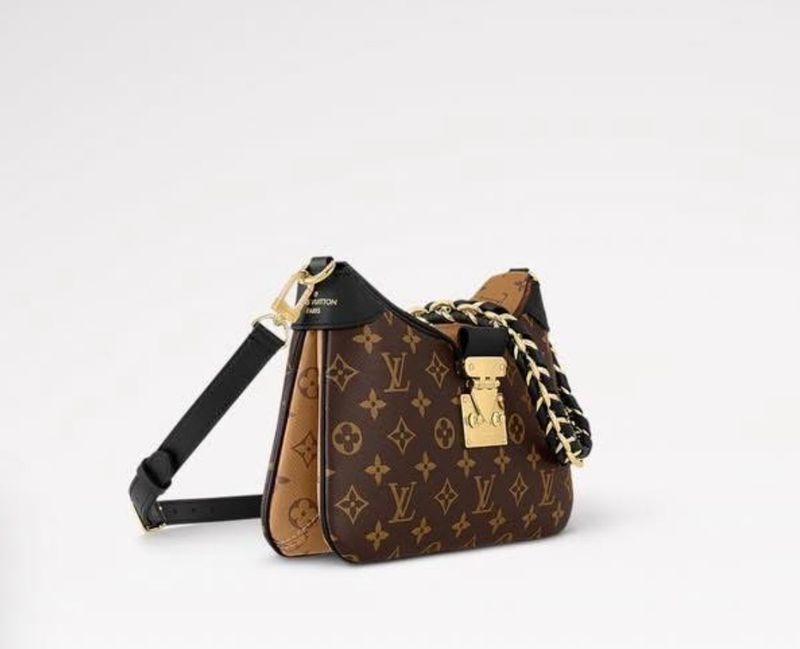 LV Bag