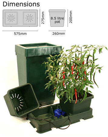 Kit Easy2grow 2 vasi autopot idroponica passiva