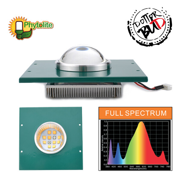 Phytolite led gx modulo Cob 30w ciclo completo Agro Cree xte