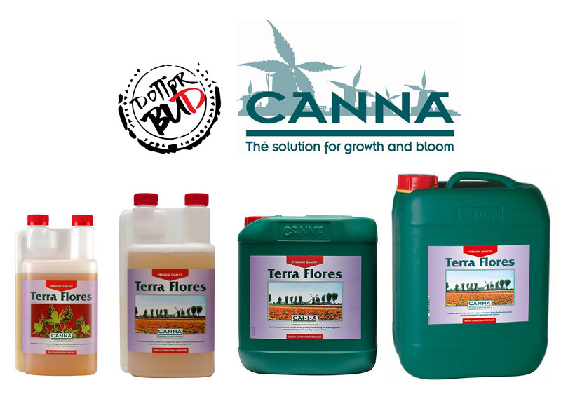 Canna | Terra Flores fioritura fruttificazione bloom