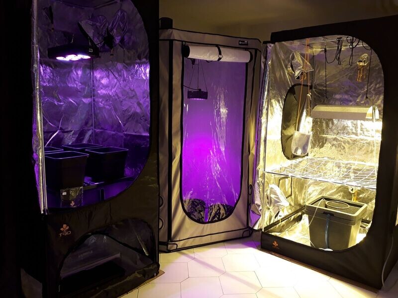 GROWBOX KIT E ACCESSORI