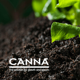 TERRICCI E SUBSTRATI