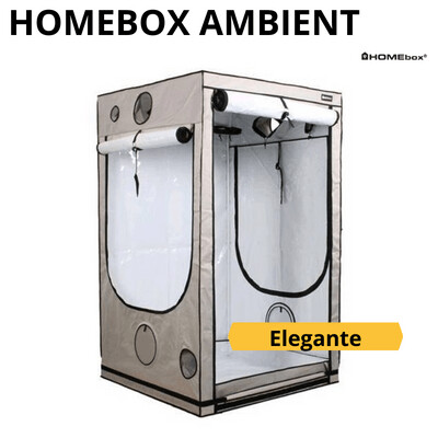 Homebox Ambient