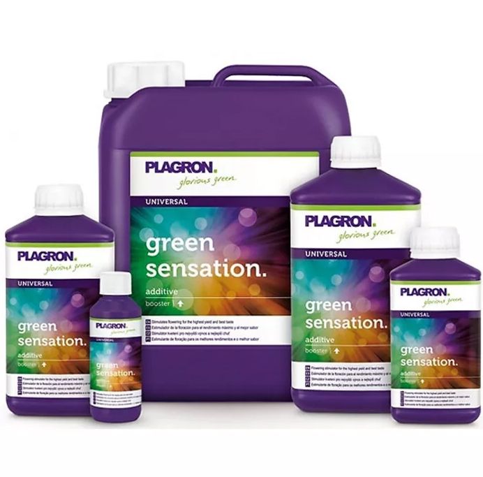 PLAGRON GREEN SENSATION