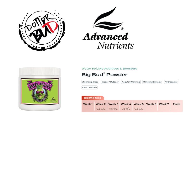ADVANCED NUTRIENTS - BIG BUD POWDER IN POLVERE