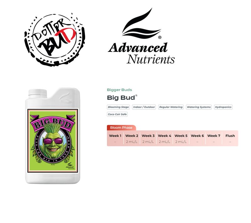 ADVANCED NUTRIENTS - BIG BUD