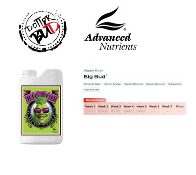 ADVANCED NUTRIENTS - BIG BUD