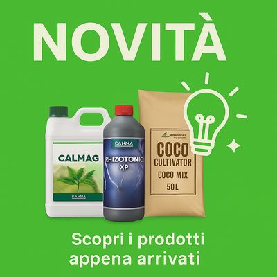 NOVITÀ