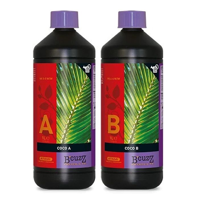 ATAMI B'CUZZ | COCO NUTRITION A+B