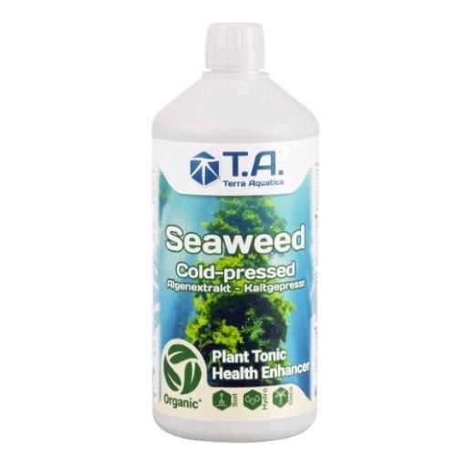 TERRA AQUATICA (GHE) |  SEAWEED