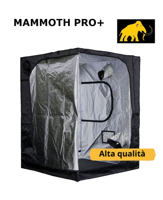 Mammoth Pro+