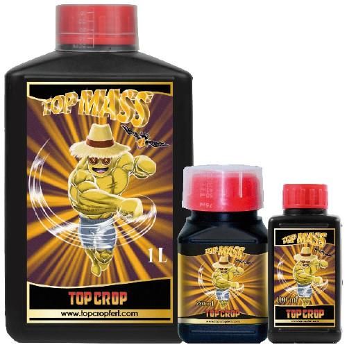 TOP CROP - TOP MASS - 1L