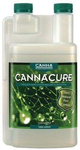 Canna | Cannacure  ricarica da 1L - concentrato da diluire