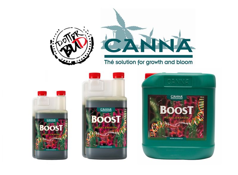 Canna | Boost Accelerator stimolante fioritura