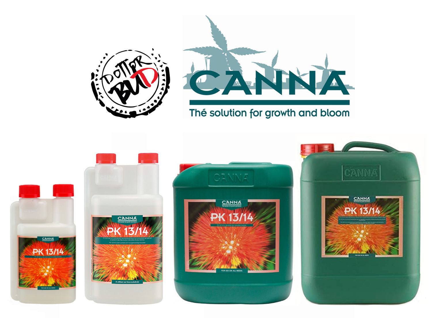 Canna PK 13/14 ingrossamento fiori