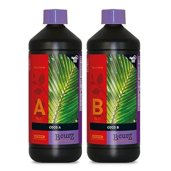 ATAMI B'CUZZ | COCO NUTRITION A+B