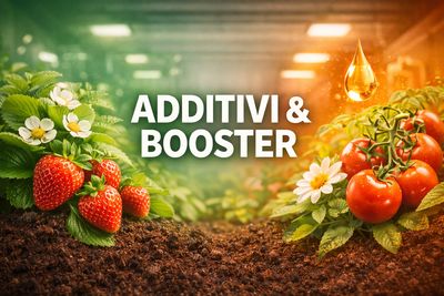 Additivi-Booster